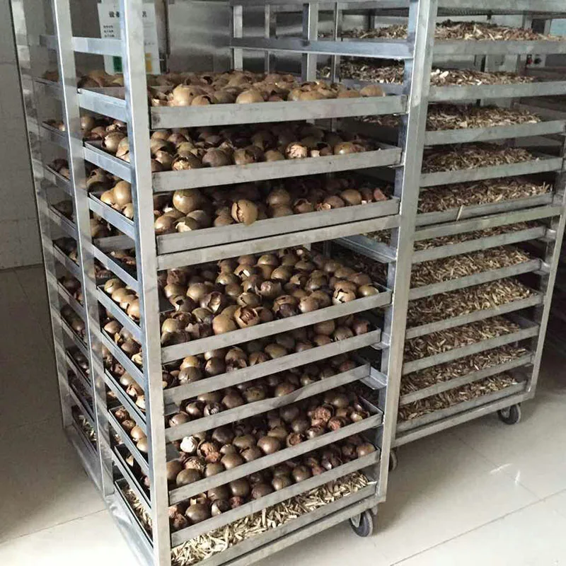 
Saving power commercial used vegetable drying machine / onion / ginger /garlic dehydrator 