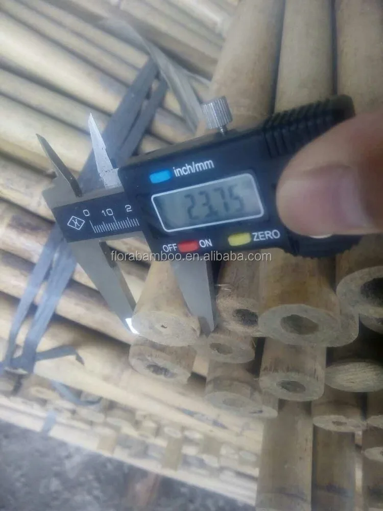 Bamboo pole For Tree Guards,Dia.22-24mm,305cm