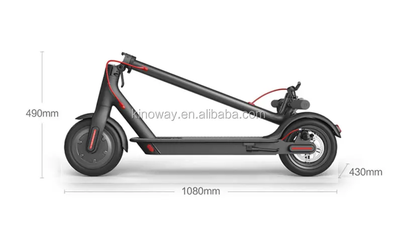 Most Attractive New Electric Scooter 36V 350W High Power e Roller Scooter In Eu  Adults