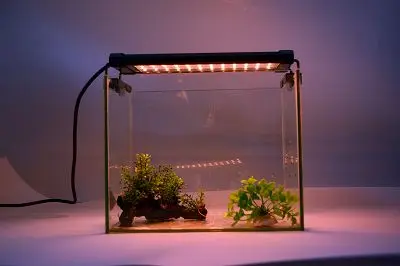 China wholesale RGB lamp ZJL-40B adjustable bracket  light for fish tank plant