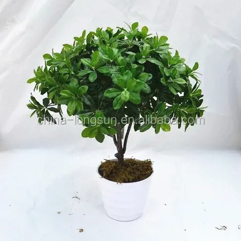 LSD-20160724931 Artificial Succulent Plant Desert Rose/Adenium Obesum Artificial Flower Green Plant Table Decoration Branches