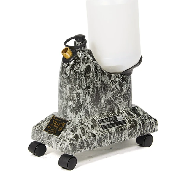 as seen on tv 2021  household ironing machines electric standing steam iron garment steamer vertical steamer