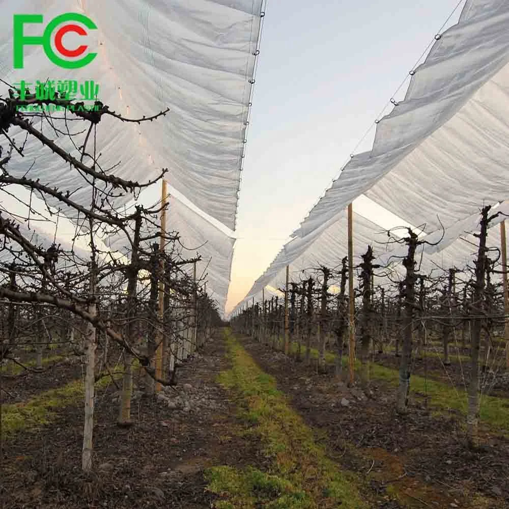 Supply quality plastic covers add UV polyethylene anti big rain/storm vine yard table cover vine grapes/plastic grape cover