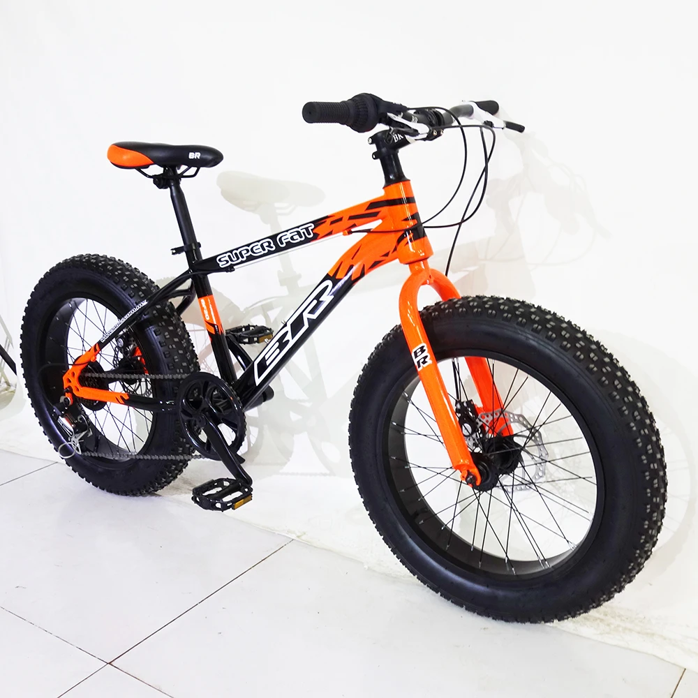 
Customized steel frame 20 wheel size 7 speed 4.0 tyres bicycle 