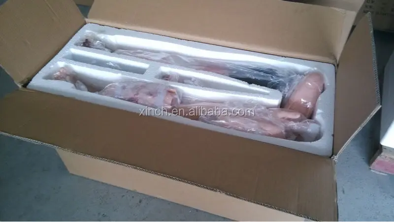 XC-401D Used Nursing Training Manikins For Medical Students