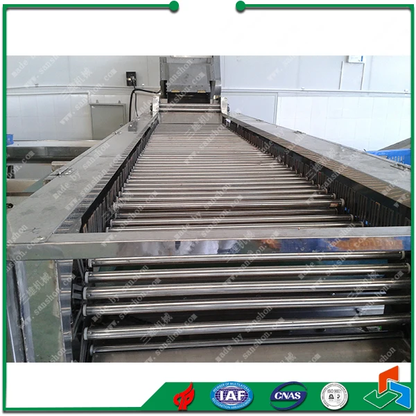 China Dates Jujube Grading and Sorting Machine Sorter Grader