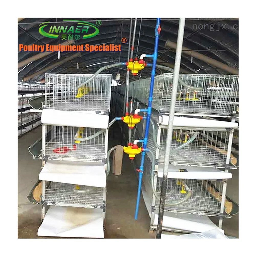 battery chicken cage for commercial broiler