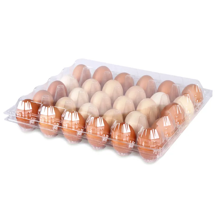 30 count egg cartons trays