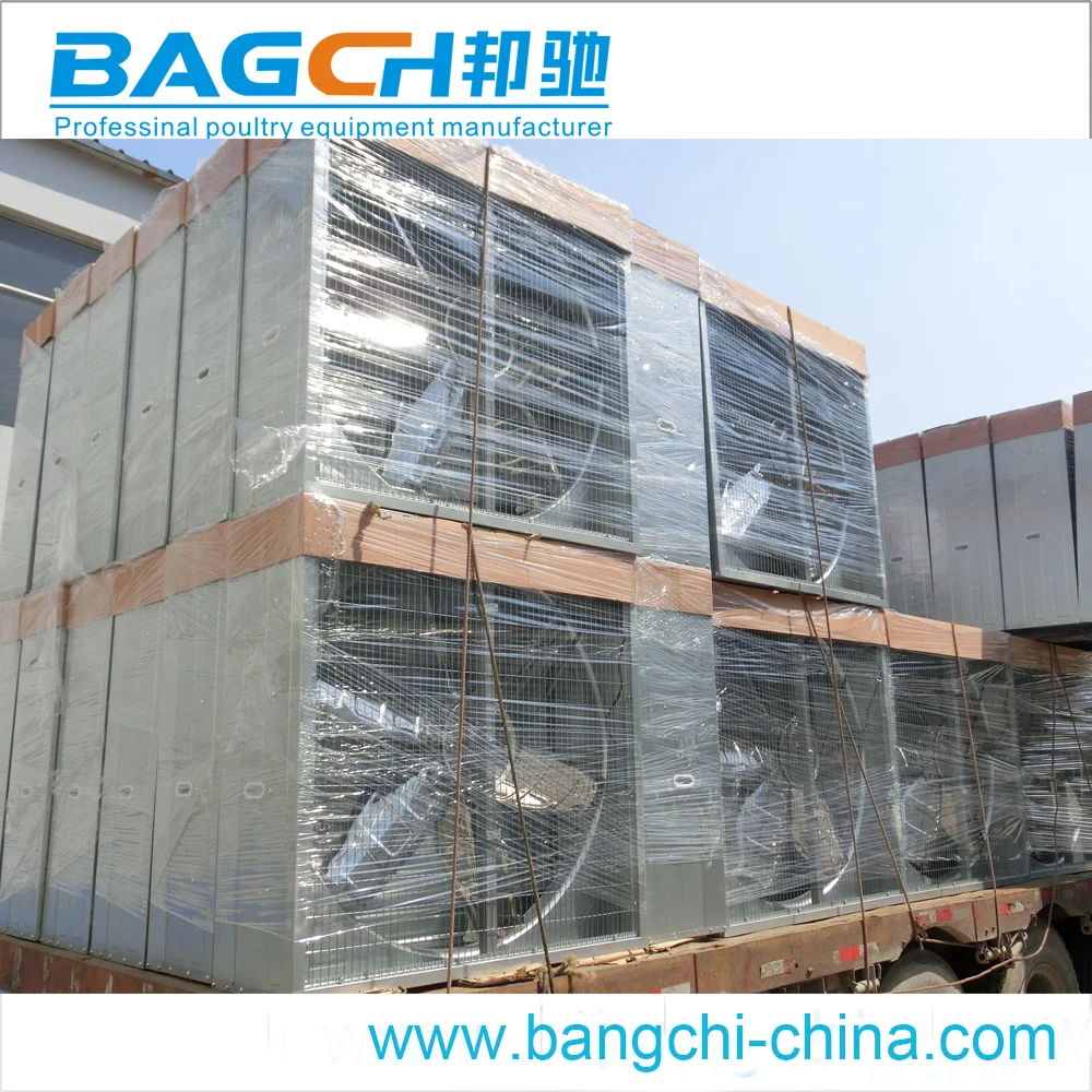 Broiler Sheds Design for Poultry Farm Equipment