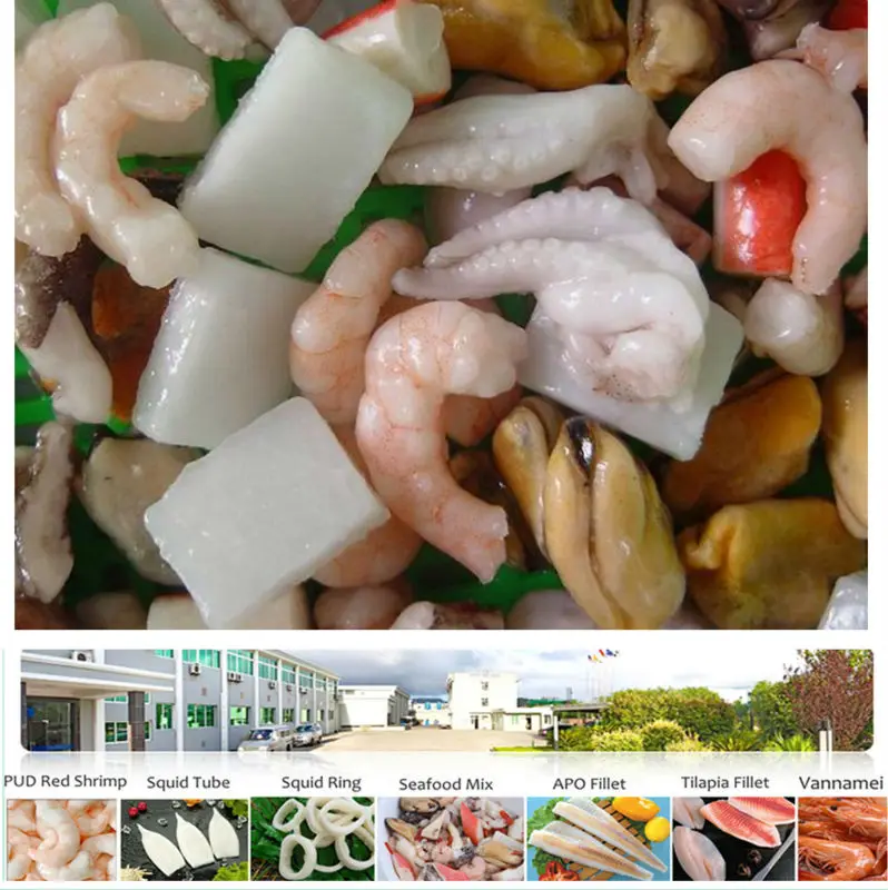 Seafood Export Iqfy frozen mix of sea food