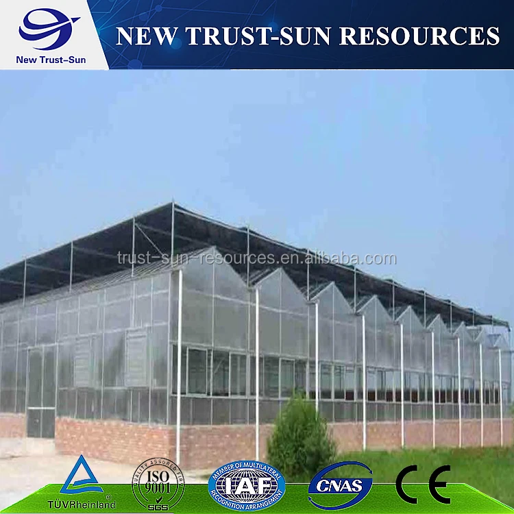 
China customized hydroponic growing systems polycarbonate sheet greenhouse for sale 