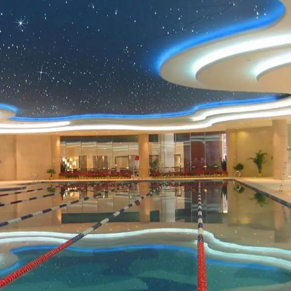 bright pmma multi core optic fiber swimming pool star sky effect decoration led lights under water light