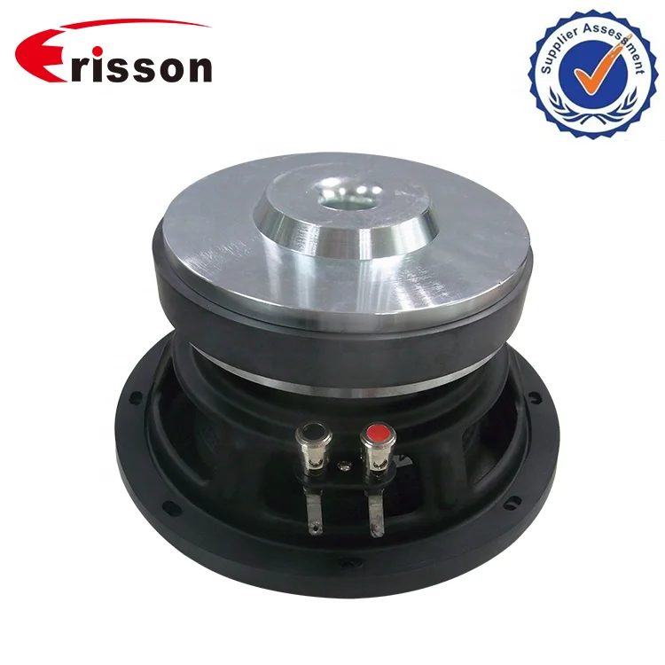 OEM 8 Inch Subwoofer Cheap Car Subwoofers 8 inch Car Audio Speakers