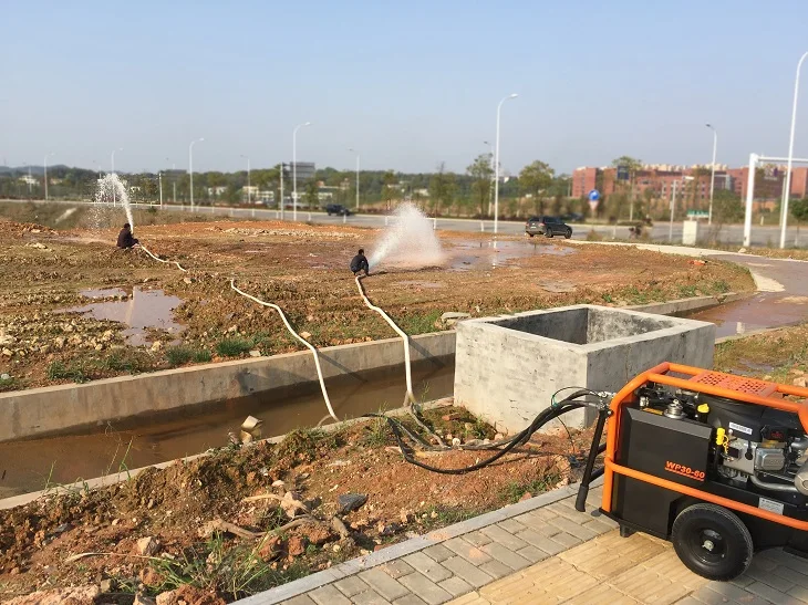 Diesel Electrical Small Petrol 2 Inch Water Pump For Wastewater Transport And Flood Control