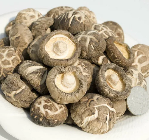 
Detan Dried Shitake Mushrooms price 