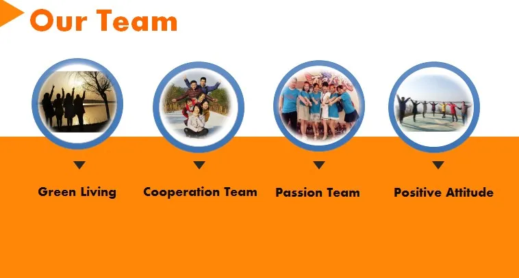 
green tea extract EGCG 70% 