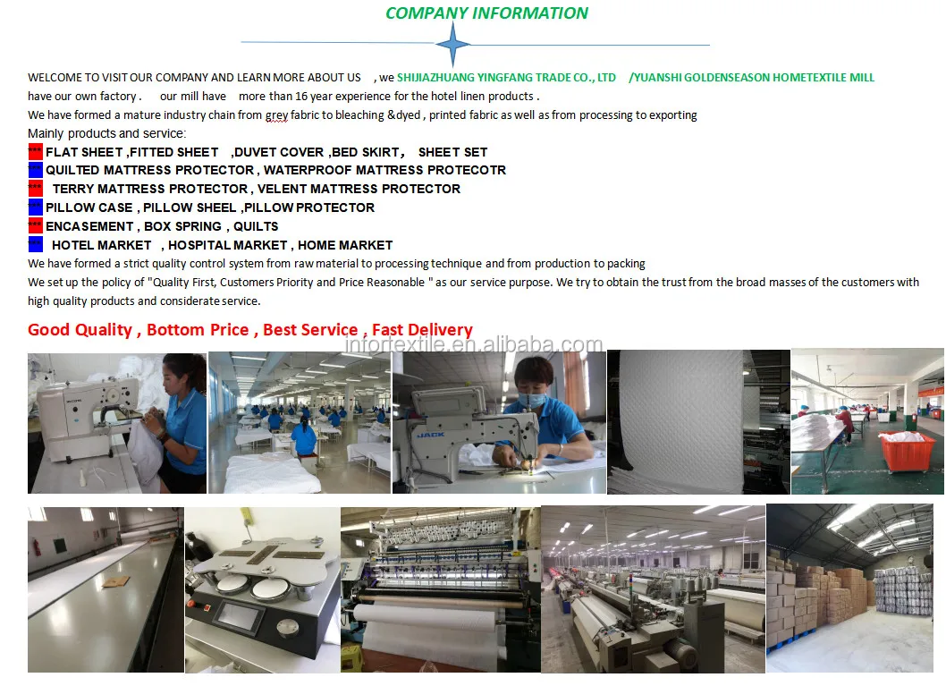 company information 2