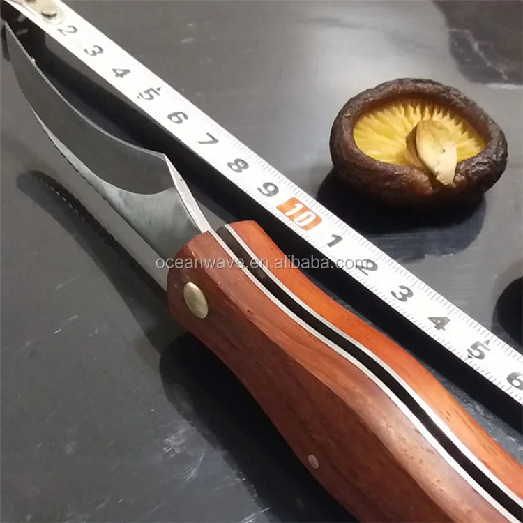 Multi Wood Handle Mushroom Knife With Brush