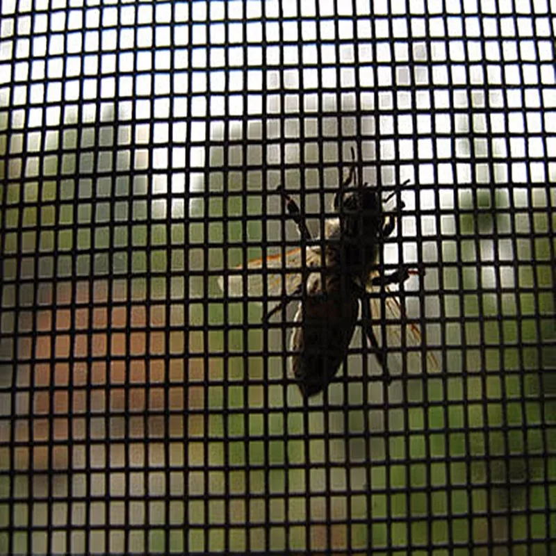 top quality clear Screen mesh