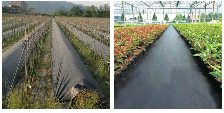 Eco-friendly Pp Non Woven Agriculture Mat Polypropylene Spunbonded 80gsm Non-woven Fabric Agriculture In Small Roll
