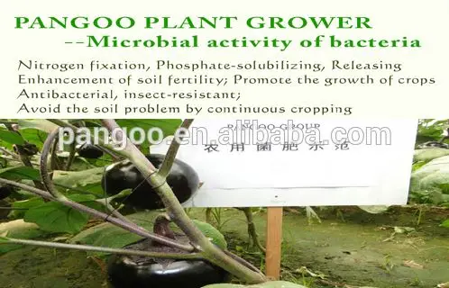 Bio fertilizer for agriculture rice, tomatoes, beans, potatoes with good effect PANGOO PLANT GROWER