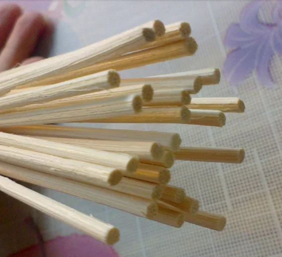 Hot selling sola flowers/rattan stick/wooden stick reed diffuser accessories from Guangzhou truescent