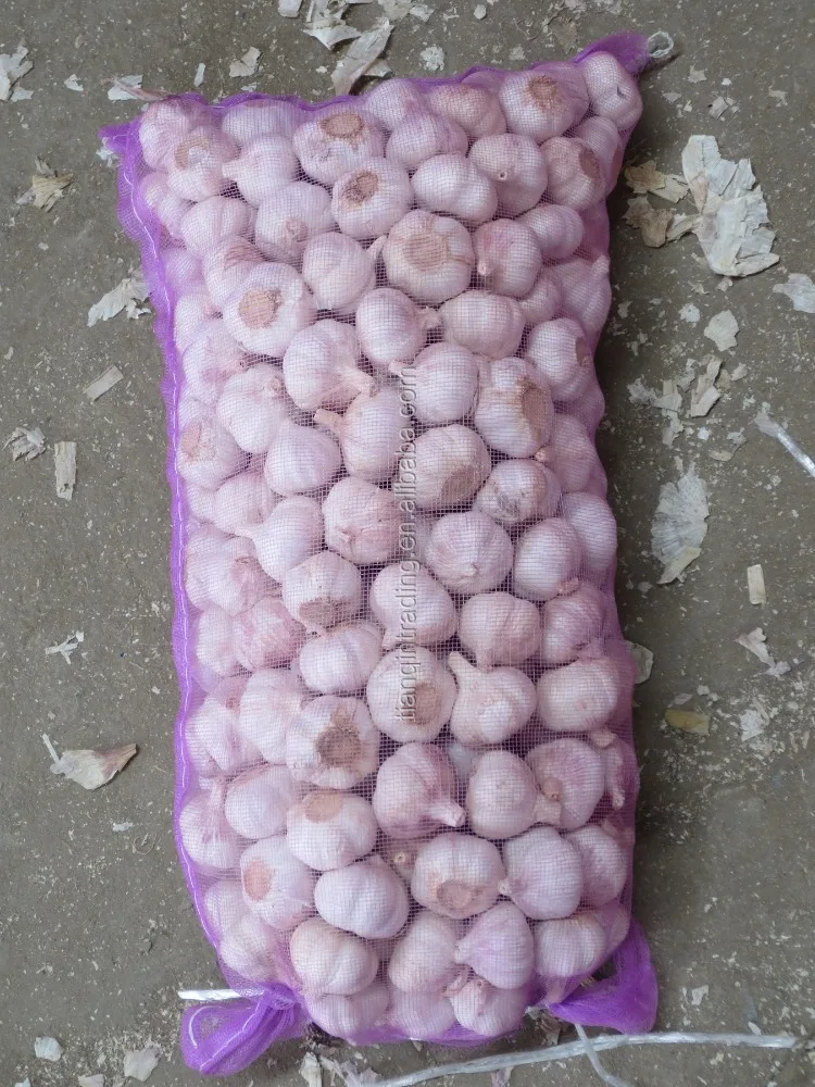 fresh garlic with garlic bag in China