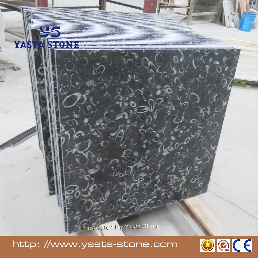 New Natural Stone Colour Black Seashell Granite Floor Tile