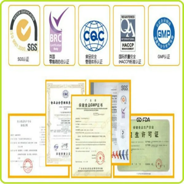 
Good flavor hot sale Instant Ginger Extract Powder 