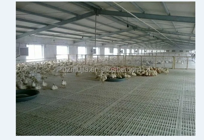 
Equipments poultry plastic slats for poultry slat floor for chicken house flooring 
