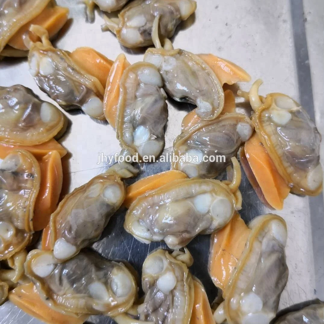 Wholesale Frozen Clams Meat Good Sale Seafood Shell Fish
