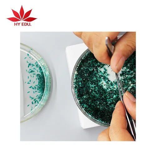 Education supplies  mixed 100 pcs botany and zoology set microscope slides specimen educational training kit