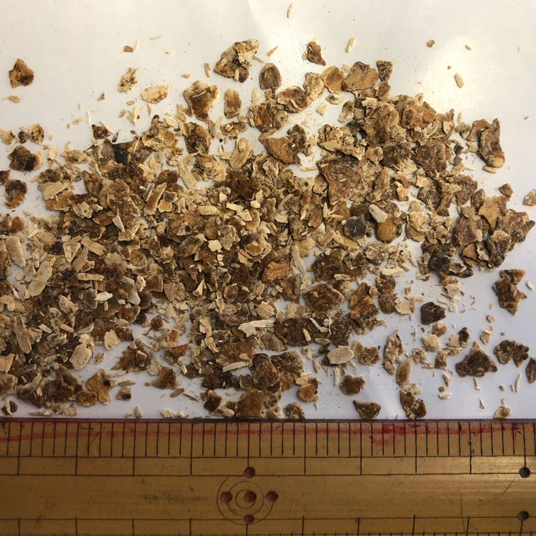Японские Пряные травы и специи, оптовая продажа, порошок shiitake