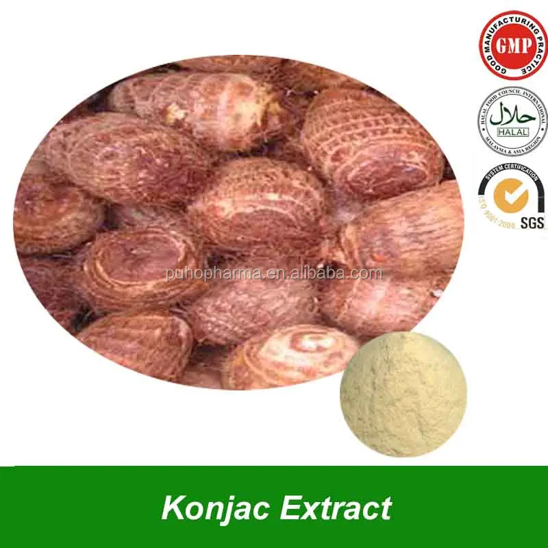 
Amorphophallus Konjac Root Extract Konjac Flour Powder Konjac Flour Glucomannan Powder for Weight Loss 