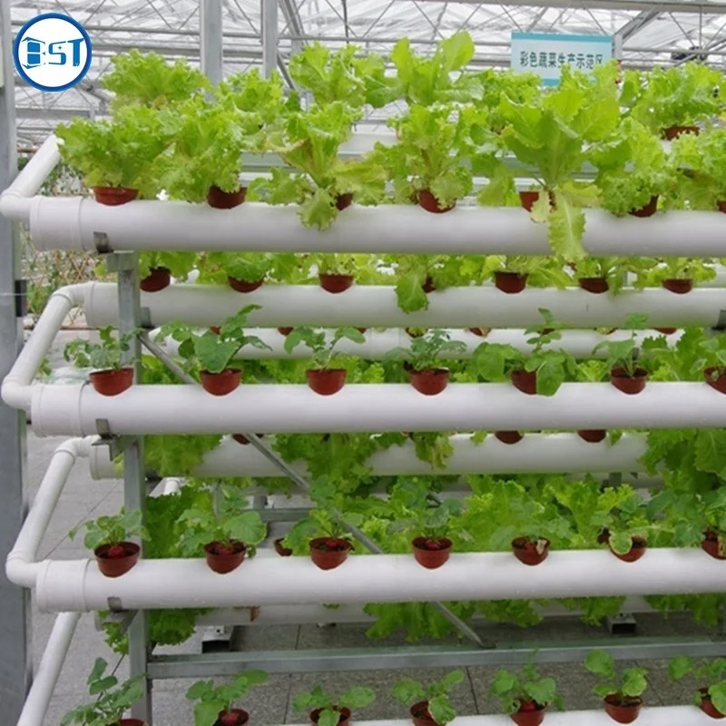 greenhouse vegetable cultivation soilless plastic hydroponic pipe
