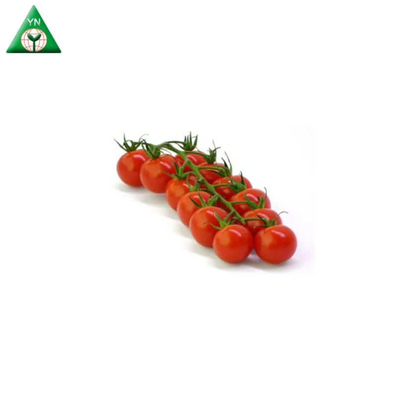 Семена томатов MEIDUO NO.1 F1 с большими красными фруктами