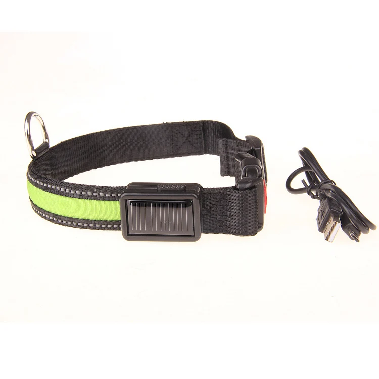New Usb Rechargeable Light Up Glow Led de para perros for pvc charging pet safety fl on image leash waterproof dog collar