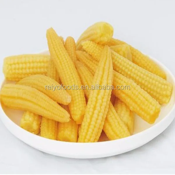 
canned baby corn 