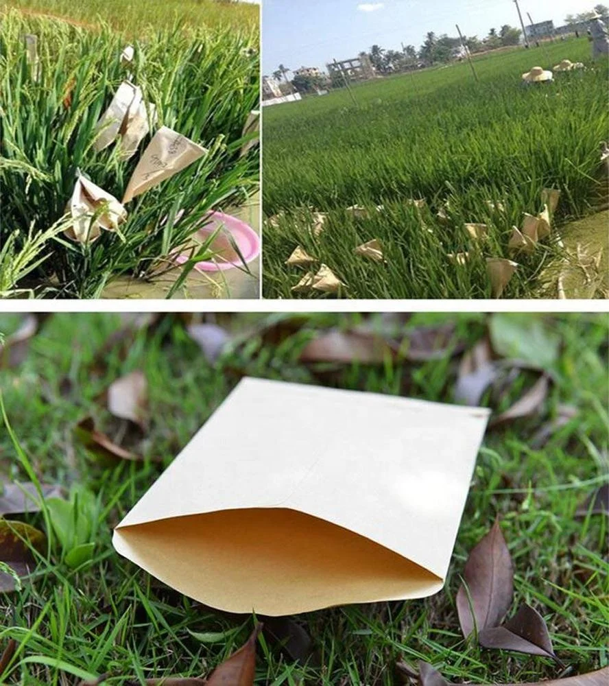 Logo Size Custom Kraft Paper Agricultural Seed Packaging Bag Kraft Envelope Bag