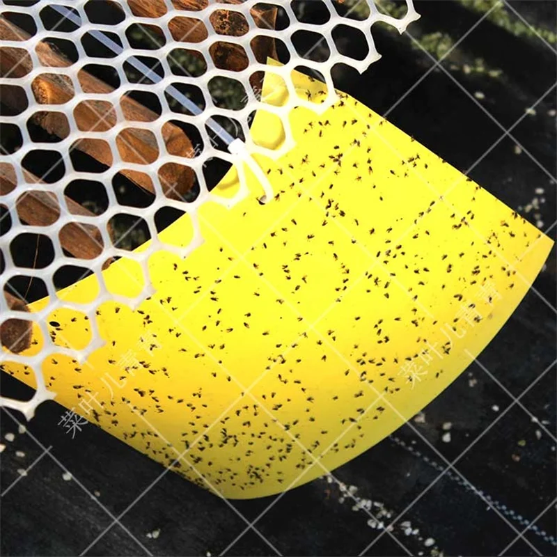 Yellow Sticky Cards Insect Glue Board Paper Strong Attract Sticky Card Pheromone Traps For Pests Control