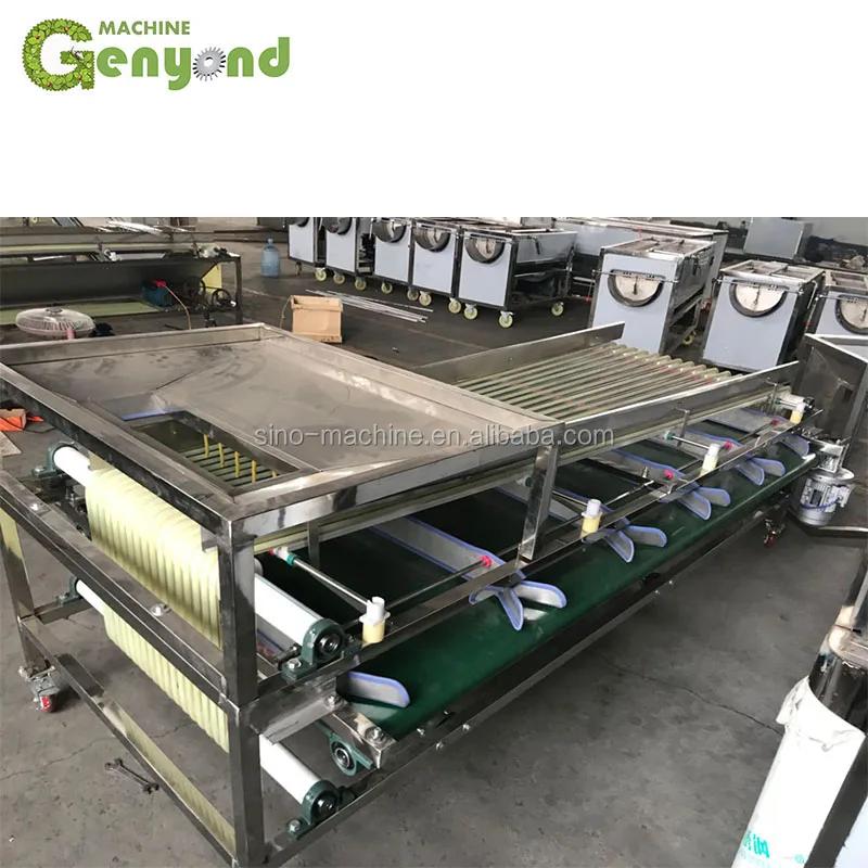 Пользовательская свежая сортировочная машина medjool для даток сортировки овощей и фруктов