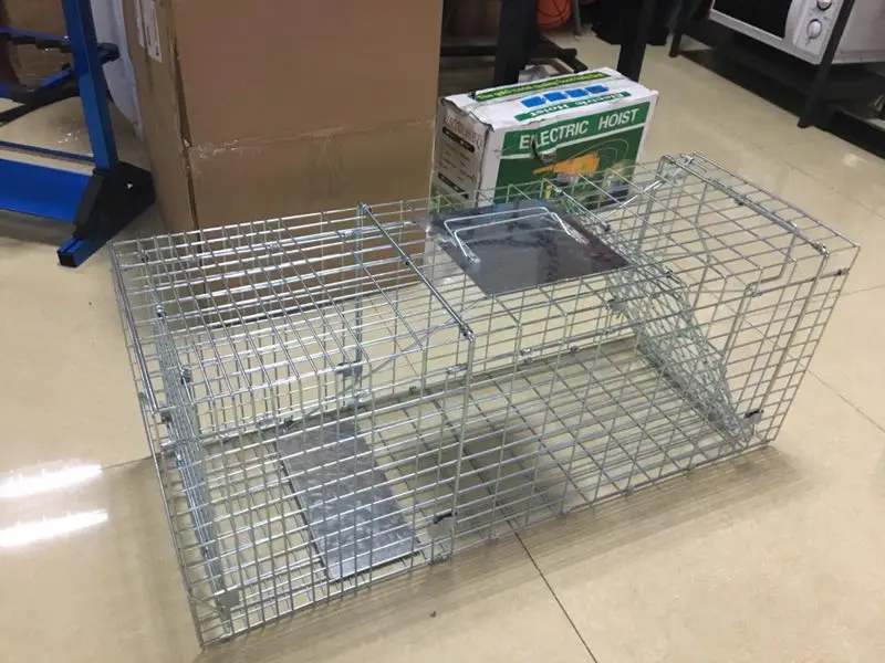Galvanized control steel wire mesh live wild animal trap cage for sale