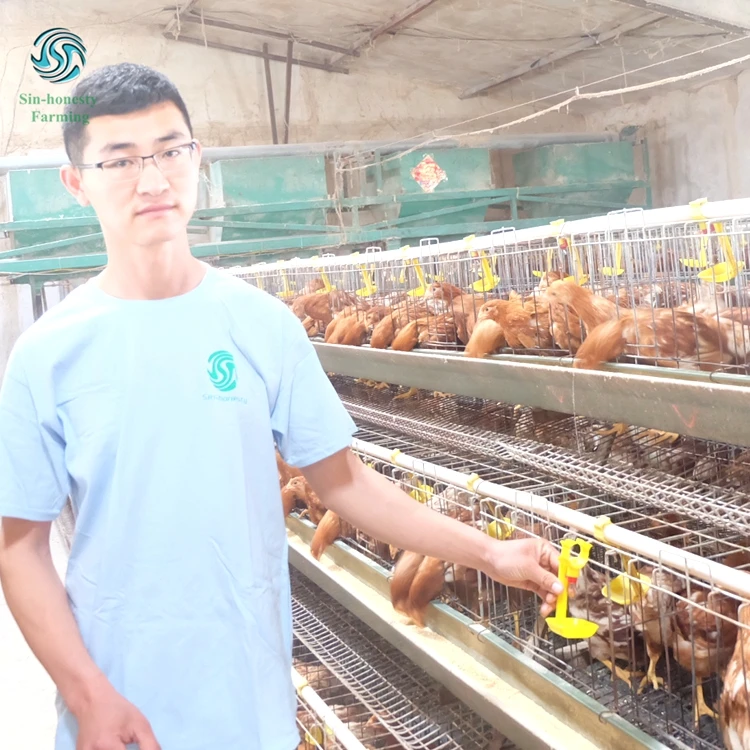 3tiers 4tiers layer chicken egg cage battery cages for chicken farm