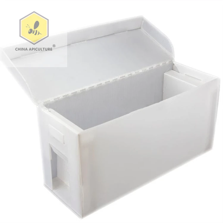 Оборудование для пчеловодства из Китая corflute beehive 100% полипропиленовый пластиковый hive nuc box