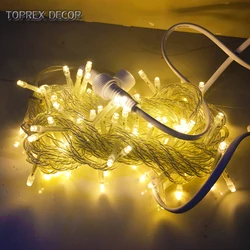 Toprex decor smart durable christmas outdoor holiday lighting connectable led string  lights