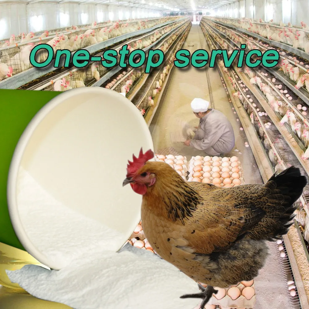 Free Samples of Allicin Extracts 100% Pure Natural Pure Allicin Extract Powder