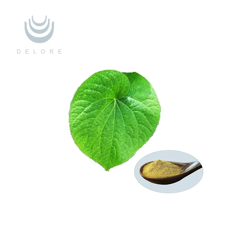Free Sample Kavalactone Piper methysticum Kava Kava Root Extract