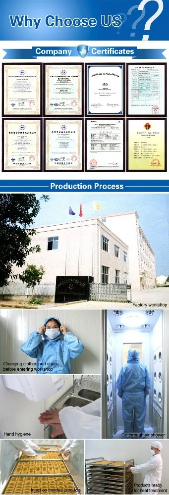 Зеленый чай, свежий здоровый корм для собак, закуска для собак