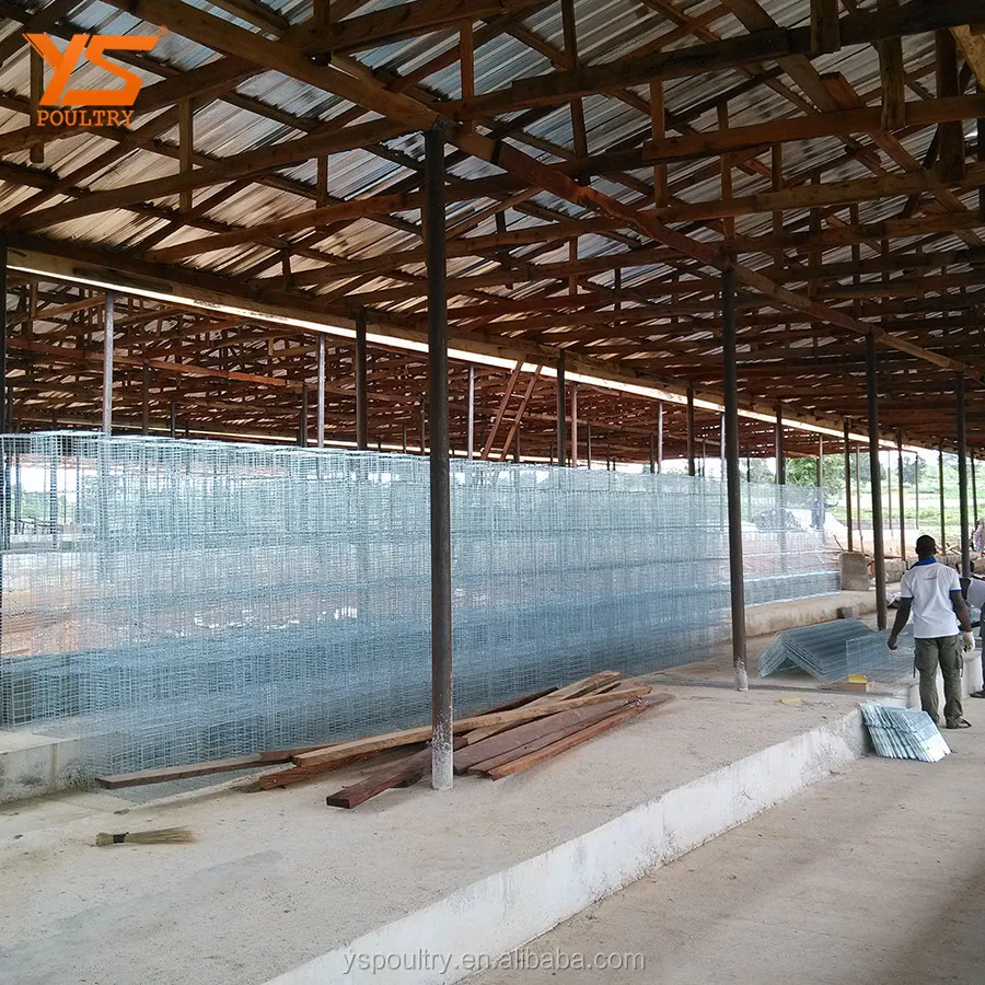 Automatic Bird Breeding Cages Layer Cages