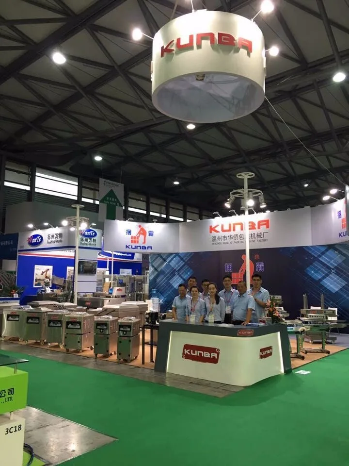 DZ-500/2SB vacuum packaging machine flat type double chamber vacuum packing machine